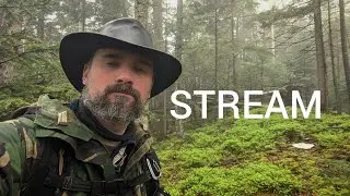 [STREAM] меркантильність