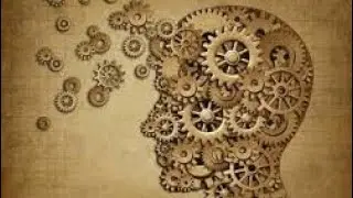 #1. Тренировка мозга и памяти.