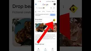 Google Easter Egg | Drop Bear | 2024