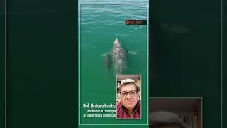 Sin el equilibrio que nos brindan la flora y fauna todos estamos en peligro de desaparecer 