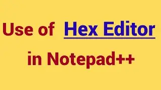 How to use Hex Editor in notepad++ | use of hex editor | how to check hex code of characters