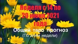 Неделя с 14 по 20 июня 2021 года. Неделя удачного стечения обстоятельств и новых возможностей. Прог