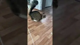 Помогает ведро ротангом оплетать)