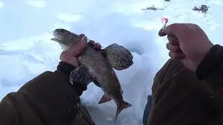 Таёжная жизнь. Рыбалка и приключения в Сибири.