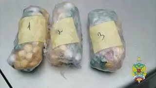 Полицейские в Балашихе задержали мужчину, подозреваемого в сбыте более 600 свертков с наркотиком