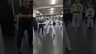 Seminars by Vlad Shypinskyi. Self-defense techniques Combat Ju-Jutsu in the Carpathians 2024 Video 2