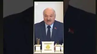Премиум еда, кот