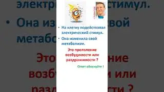 2406051353 ВОПРОС В&Р