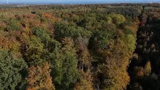 Herbstlicher Wald von Wewer  - In 4 K - Untertitel in 18 Sprachen