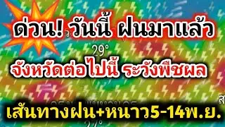ด่วน❗วันนี้ฝนมาแล้ว ระวังพืชผลเสียหาย ฝนฟ้าคะนองลมแรง พร้อมหนาวยาวๆ พยากรณ์อากาศวันนี้ล่าสุด
