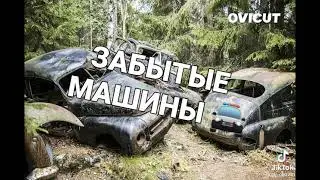 ГДЕ МНОГО МЕДИ