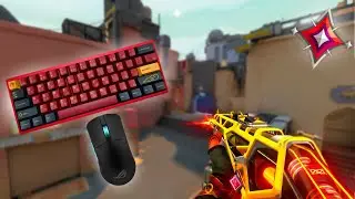 540Hz & Low Ping...