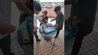 Knockout Finish! Dran Dagger vs Viper Tail | Beyblade X Tournament Saujana Upperground XIX