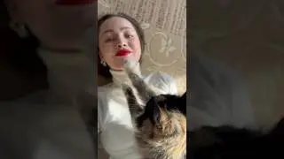 Маленькая кошечка