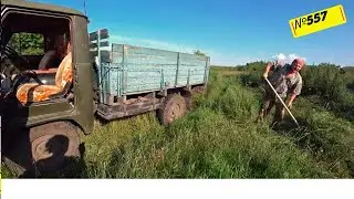 Летние хлопоты в сибирской деревне. Омск Москаленки.