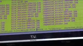 Cyber Wizard Institute: Regex and Text Processing
