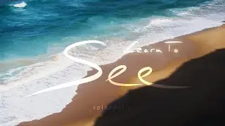 Learn To See [N°170]