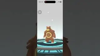 #2 I evolve bear [pokèmon go] 
