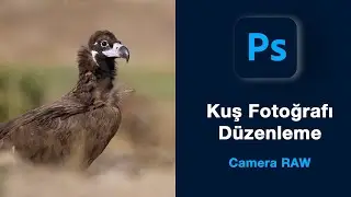 Photoshop Camera Raw İle Kuş Fotoğrafı Düzenleme | Bird Photo Editing With Photoshop