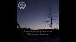 Волонтёры три дня искали пропавшую в лесу женщину