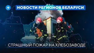 Арест за торговлю / Пожар на хлебозаводе / Самые чистые города Беларуси // Новости регионов