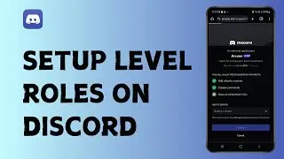 How to Setup Level Roles on Discord Server