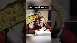Настоящий ученик #ачьютадас #Кришна #веды