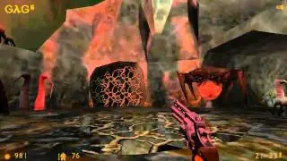 Прохождение Half Life (Логово Гонарки) ч.1