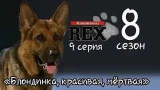 Комиссар Рекс, 8 сезон, 9 серия «Блондинка, красивая, мёртвая»