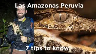 7 Essential Tips Before Exploring the Amazon! (Peruvian Amazon Travel Vlog Episode #4)