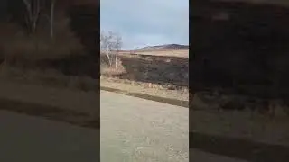 Поджигали прямо с трассы: народный корреспондент «Вечорки» заснял степные пожары в Шилкинском районе