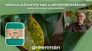 Növények betegségei: Hogyan előzhetők meg Greenman készítményekkel? Mit tegyünk a levéltetűvel