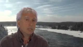 D'où viennent les bécasses
