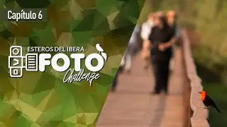 [ CAPITULO 6 ] IBERA FOTO CHALLENGE