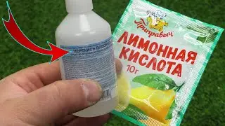 Смешал ПЕРЕКИСЬ водорода и Лимонную кислоту, результат просто шикарный! Теперь всегда так делаю