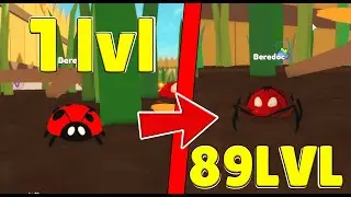САМАЯ ЛУЧШАЯ ИГРА В РОБЛОКС ЭВОЛЮЦИЯ ЖУКОВ!