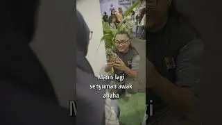 How To Tackle Awek Kuantan