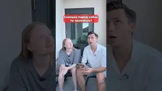 Какую породу выбираешь?🐶 #морозовы #юмор #challenge #shorts