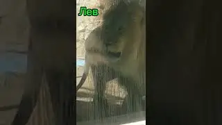 ☝️ПОЛНОЕ ВИДЕО!