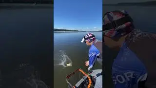 ХИЩНЫЙ, ЖАДНЫЙ ЛЕЩ - НА СПИННИНГ! #shorts #рыбалка #рыбалка2024 #лещ #fishing