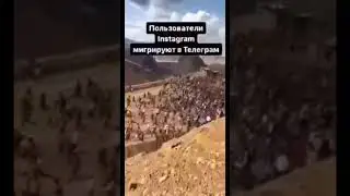 Пользователи Facebook и Instagram мигрируют в Telegram и Twitter 