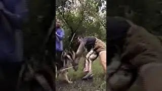 Собака - Монстр... и ребёнок. Monster dog. 
