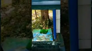 video lucu ngakak sopir truk 