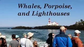 Whales, Porpoise, and Lighthouses