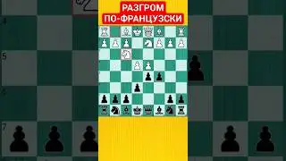 🇫🇷РАЗГРОМ ПО-ФРАНЦУЗСКИ
