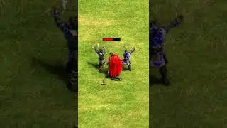 Elite Teutonic Knight vs 3 Warrior Priests (AoE2) 