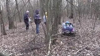 Березовый сок . Нивки. 2020.COVID-19