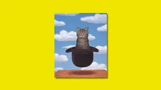 📺 