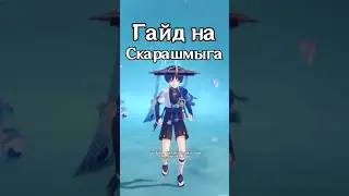 ГАЙД на СТРАННИКА🤨 