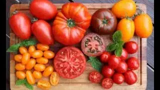 в Израиле растут цены на продукты.